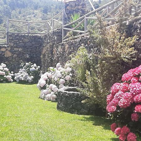 Casas Rurales Los Guinderos Icod De Los Vinos Exteriér fotografie