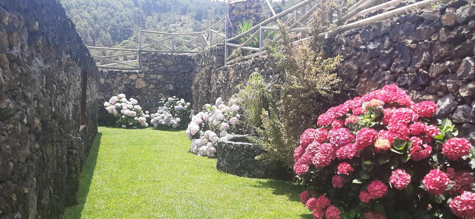 Casas Rurales Los Guinderos Icod De Los Vinos Exteriér fotografie